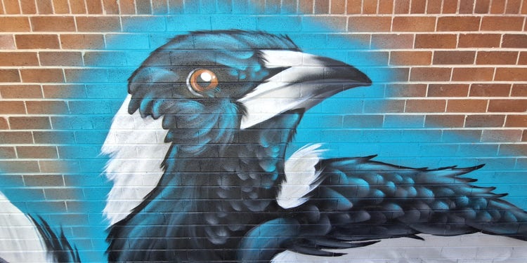 Magpie mural on a building wall