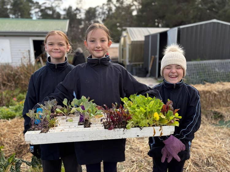 Three students standing together holding a large tray of seedlings